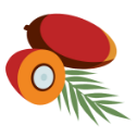 Palm Oil