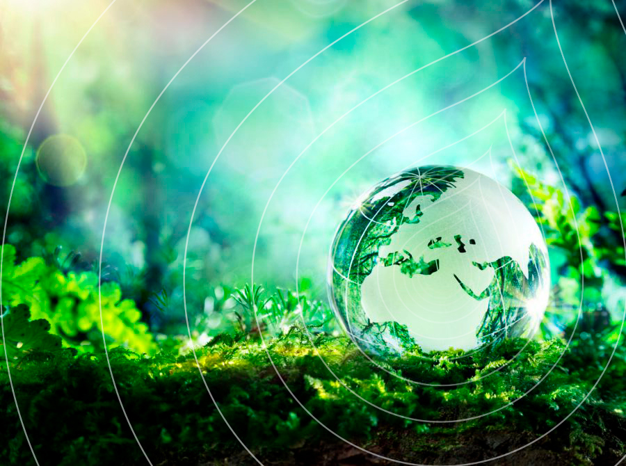 Sustainability banner Ripple